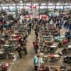 Stafford classic motorcycle mechanic show